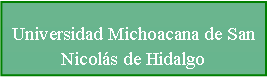 Cuadro de texto: Universidad Michoacana de San Nicols de Hidalgo